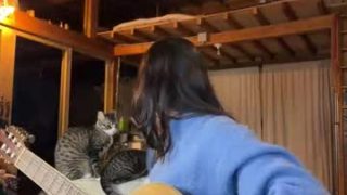 maria_alfonsina_