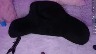 crimsonkitten